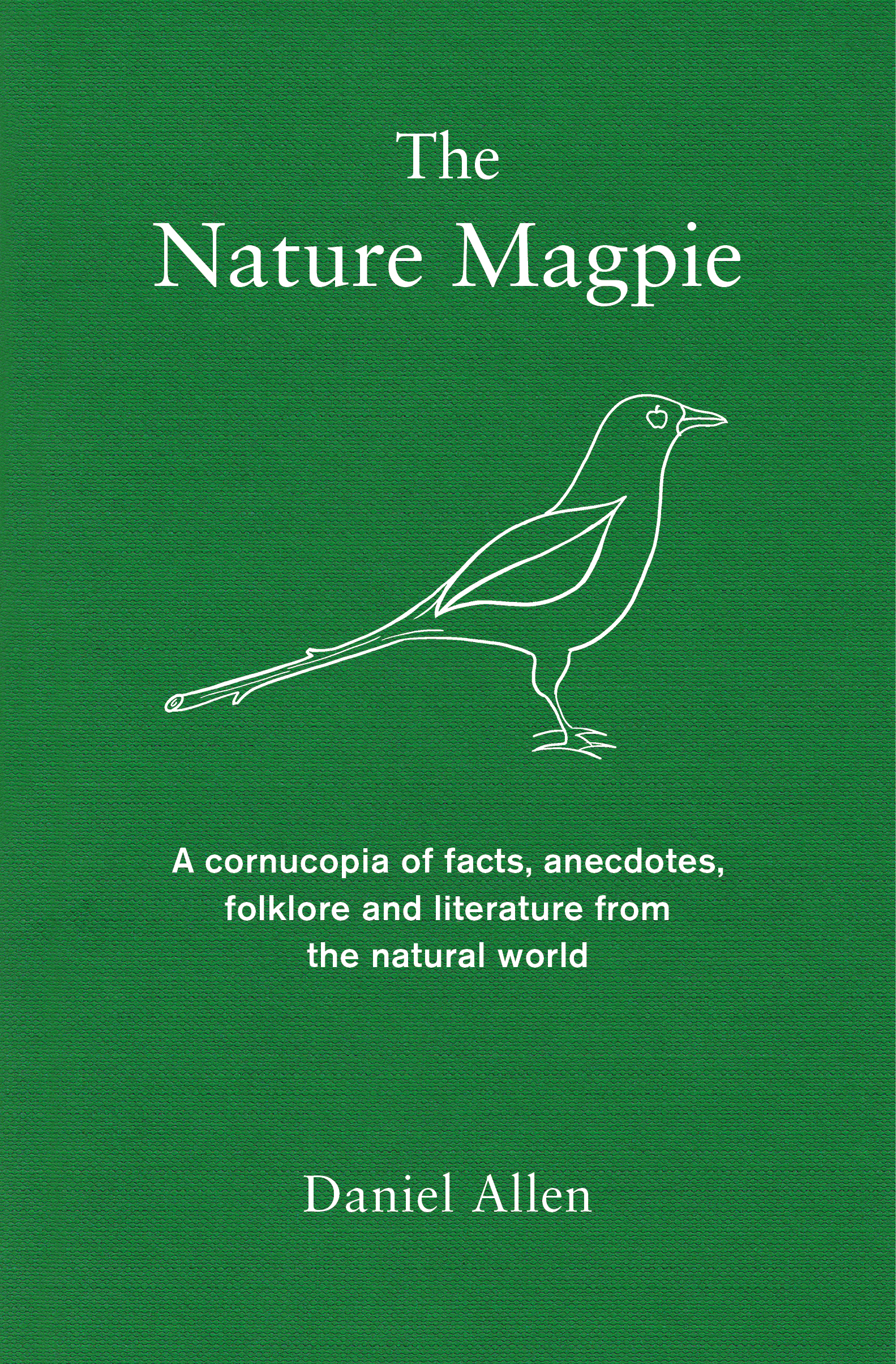 The Nature Magpie by Daniel Allen