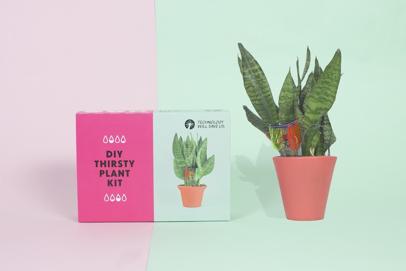 Thirsty Plant Kit