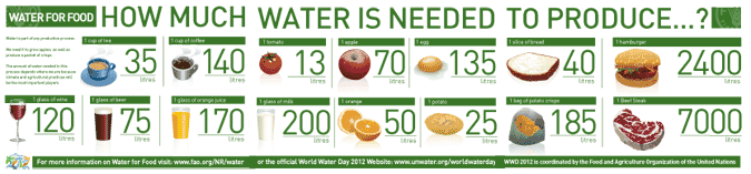 Water for food