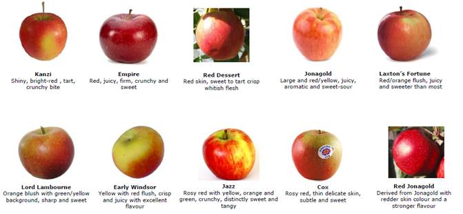 Englsih apples