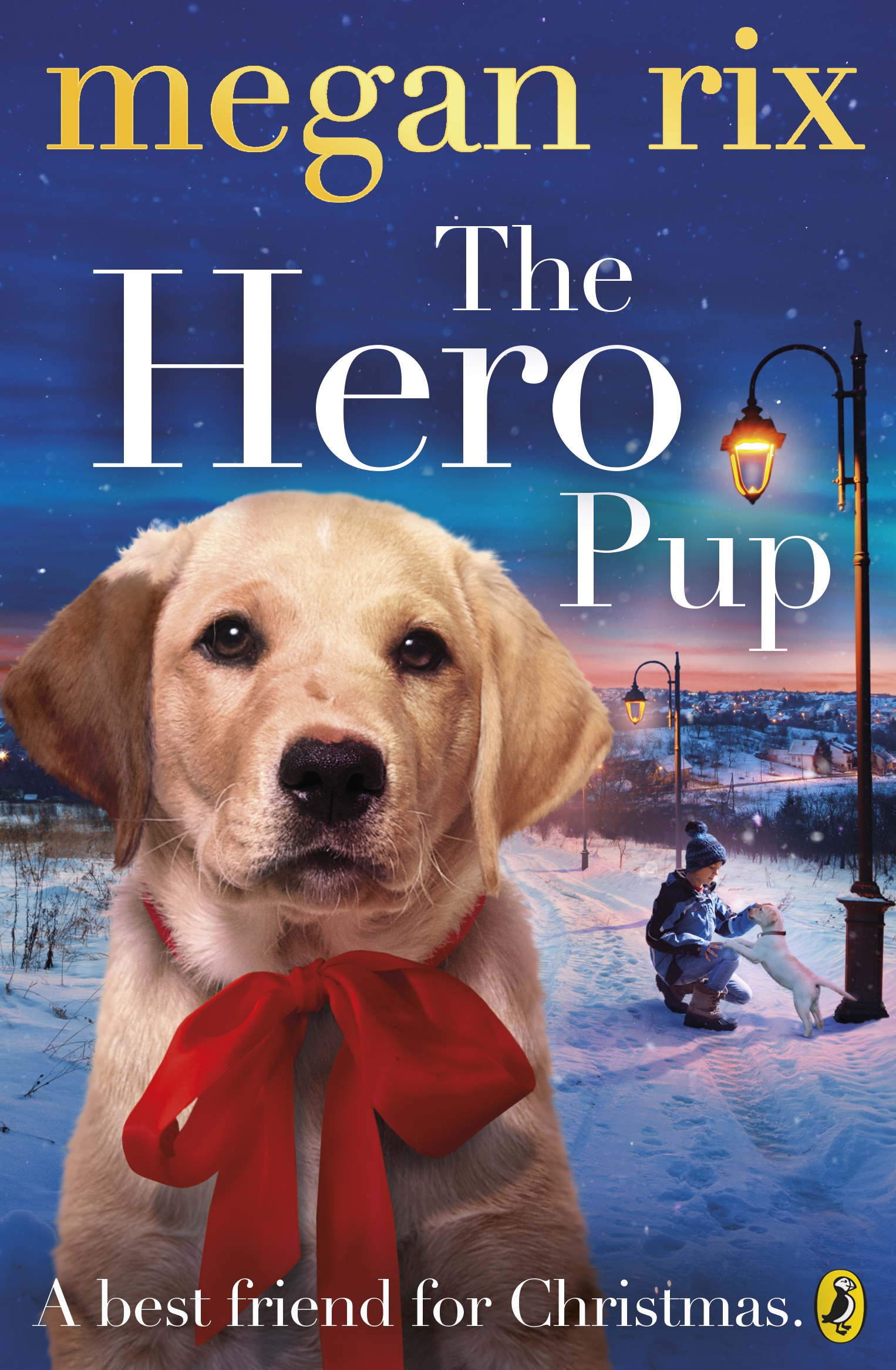 The Hero Pup by Megan Rix