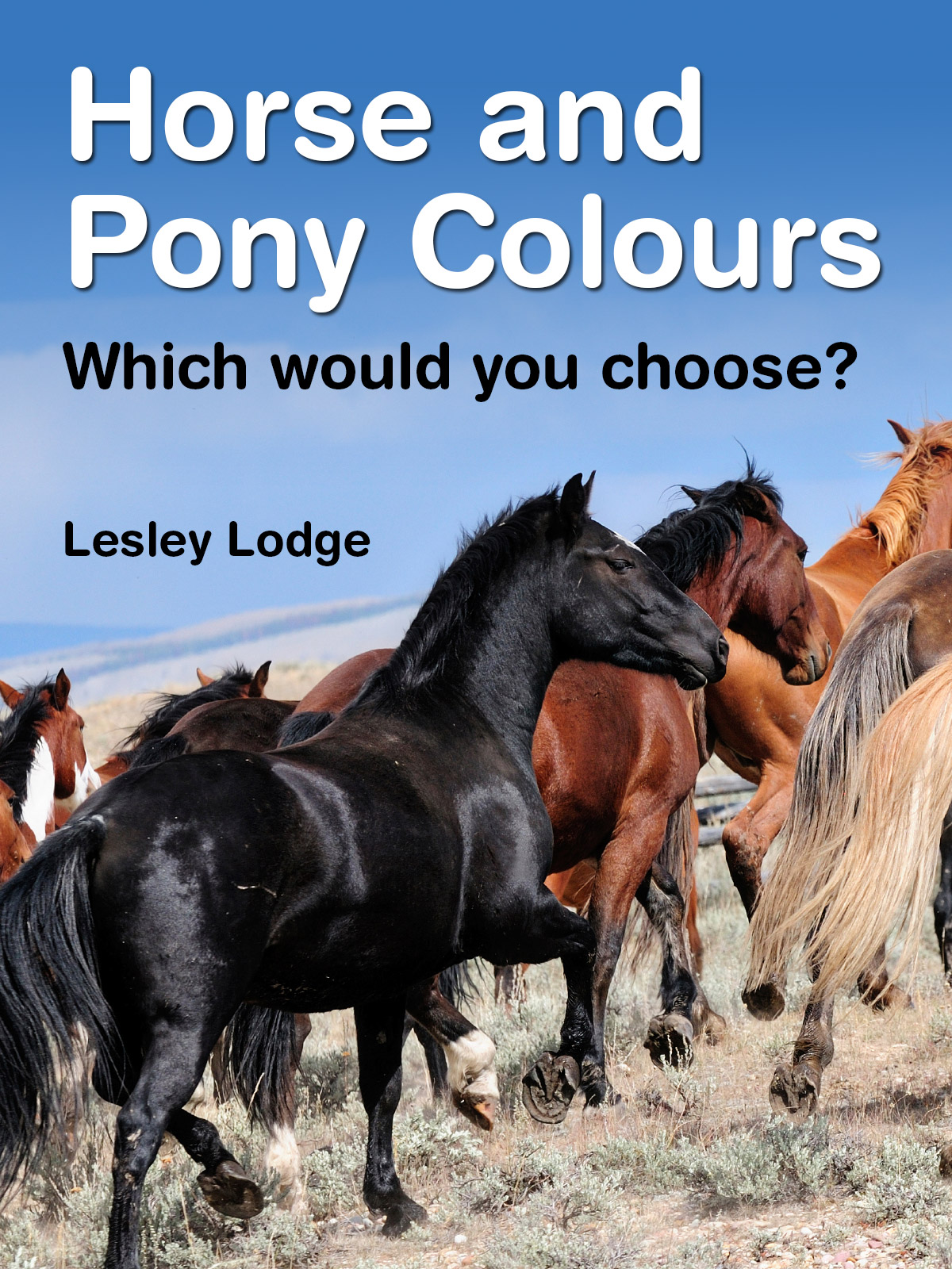 Horse and Poby Colours by Lesley Lodge