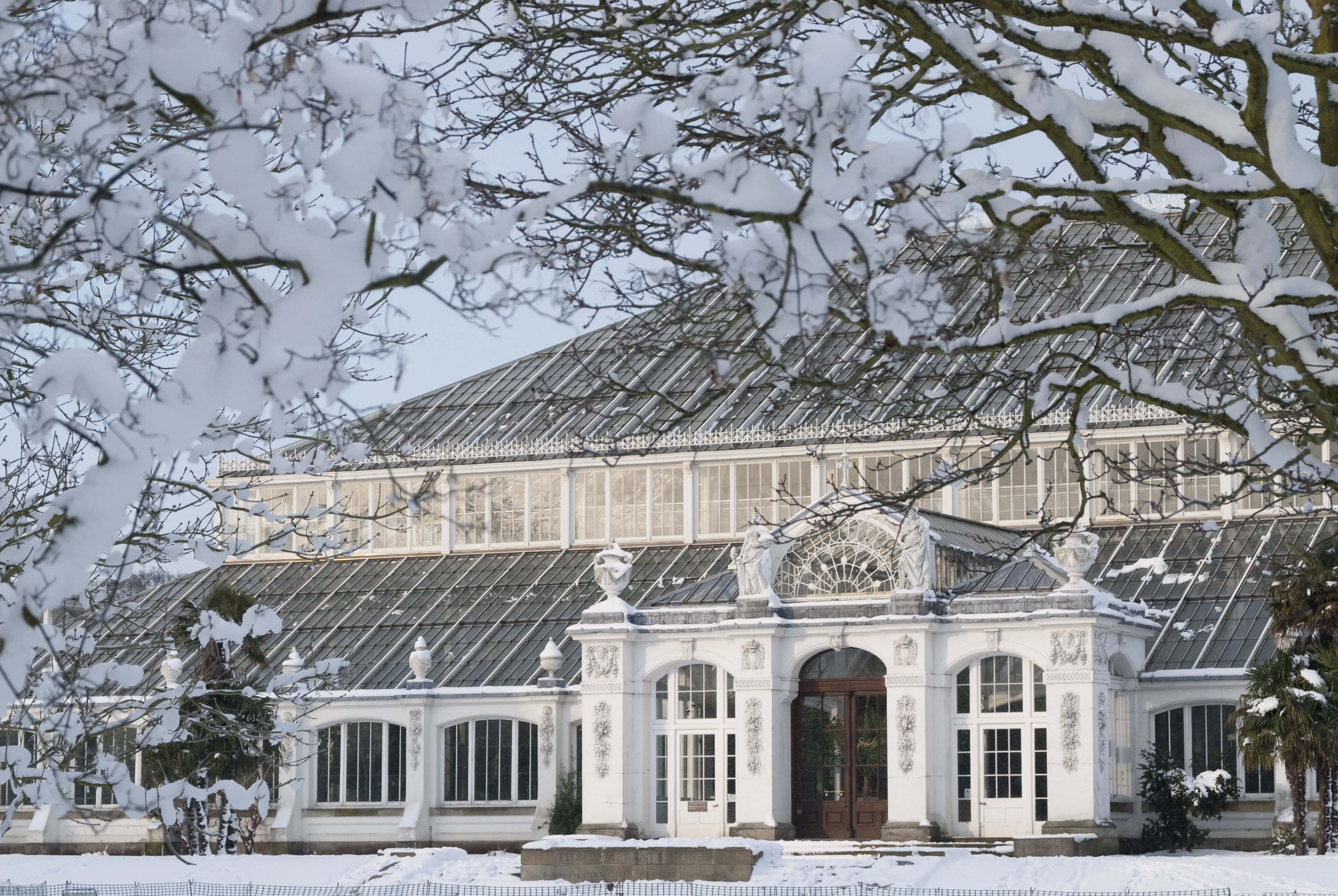 Kew Gardens in Winter