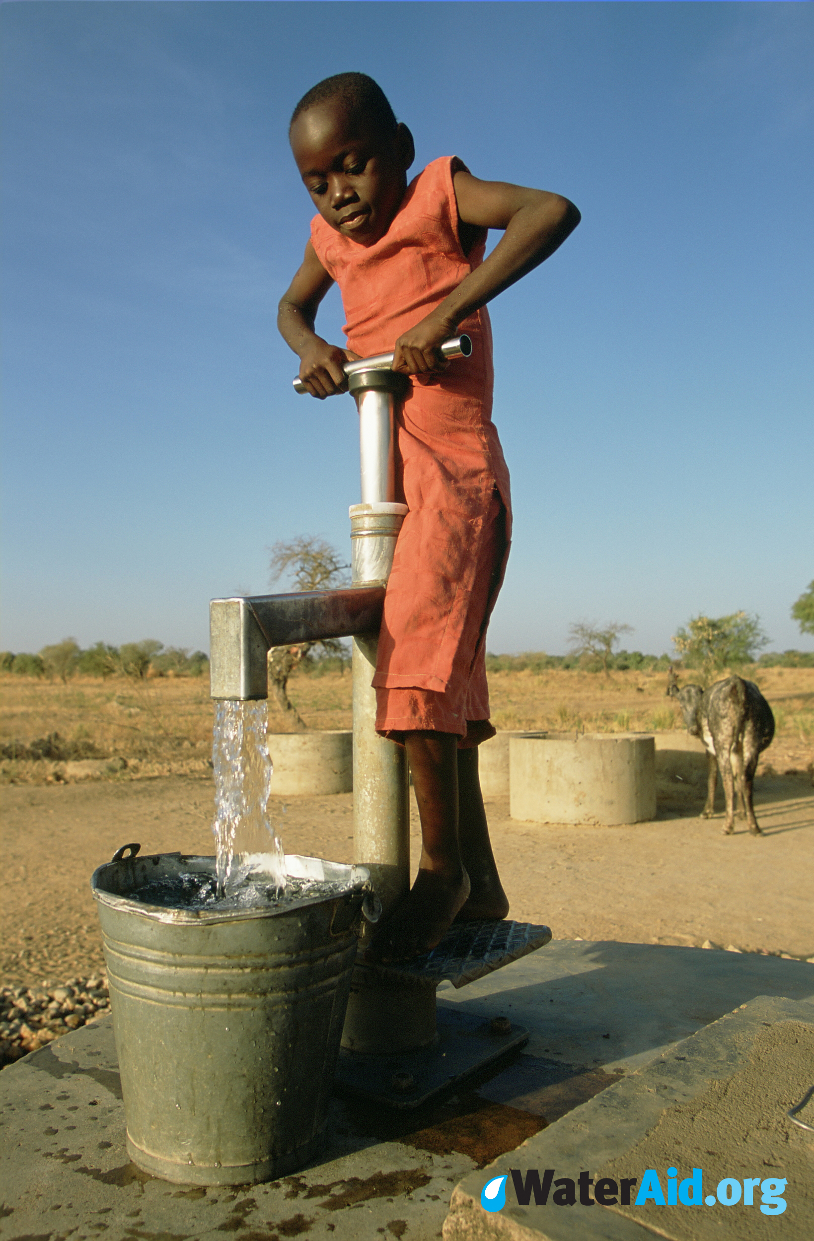 Wateraid Children