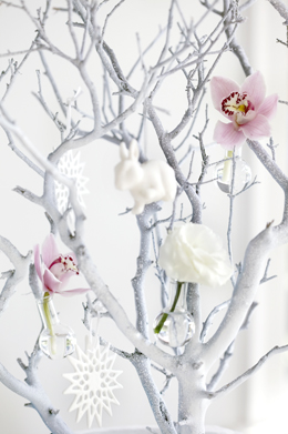 winterflowers
