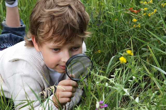 Leaf boy in grass