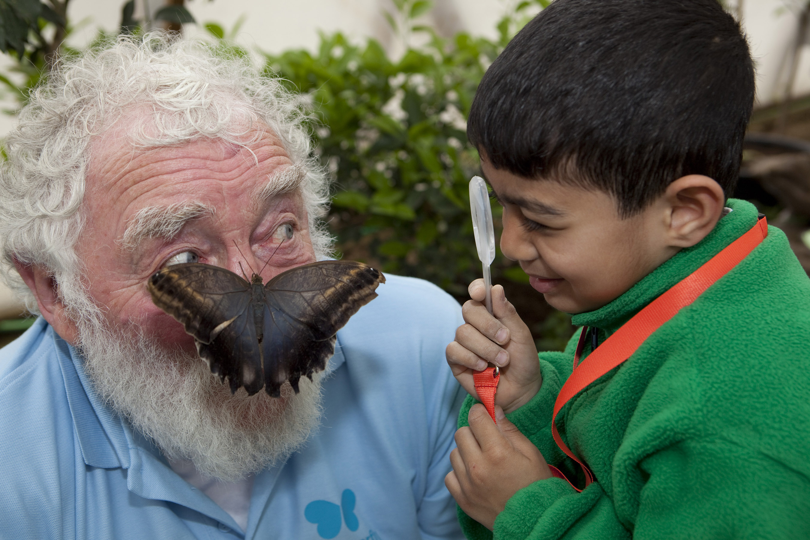 Butterfly World