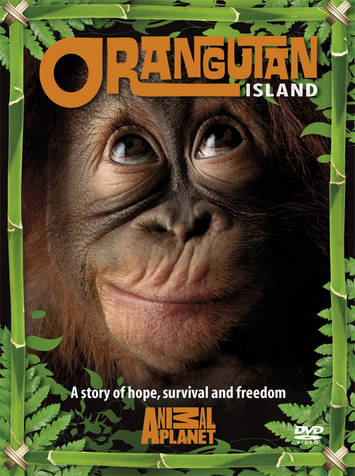 orangutanisland