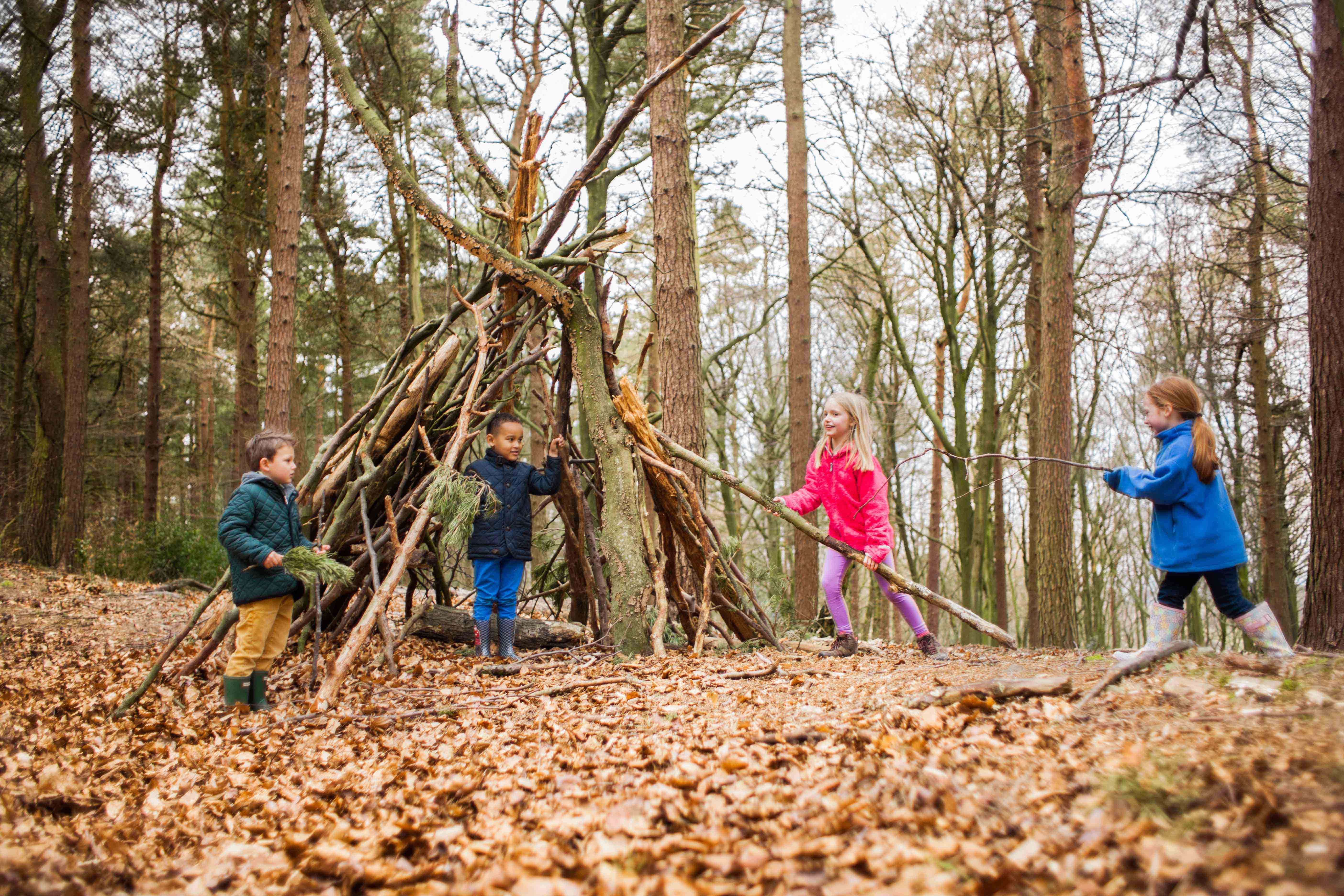 Den building - 50 things NT