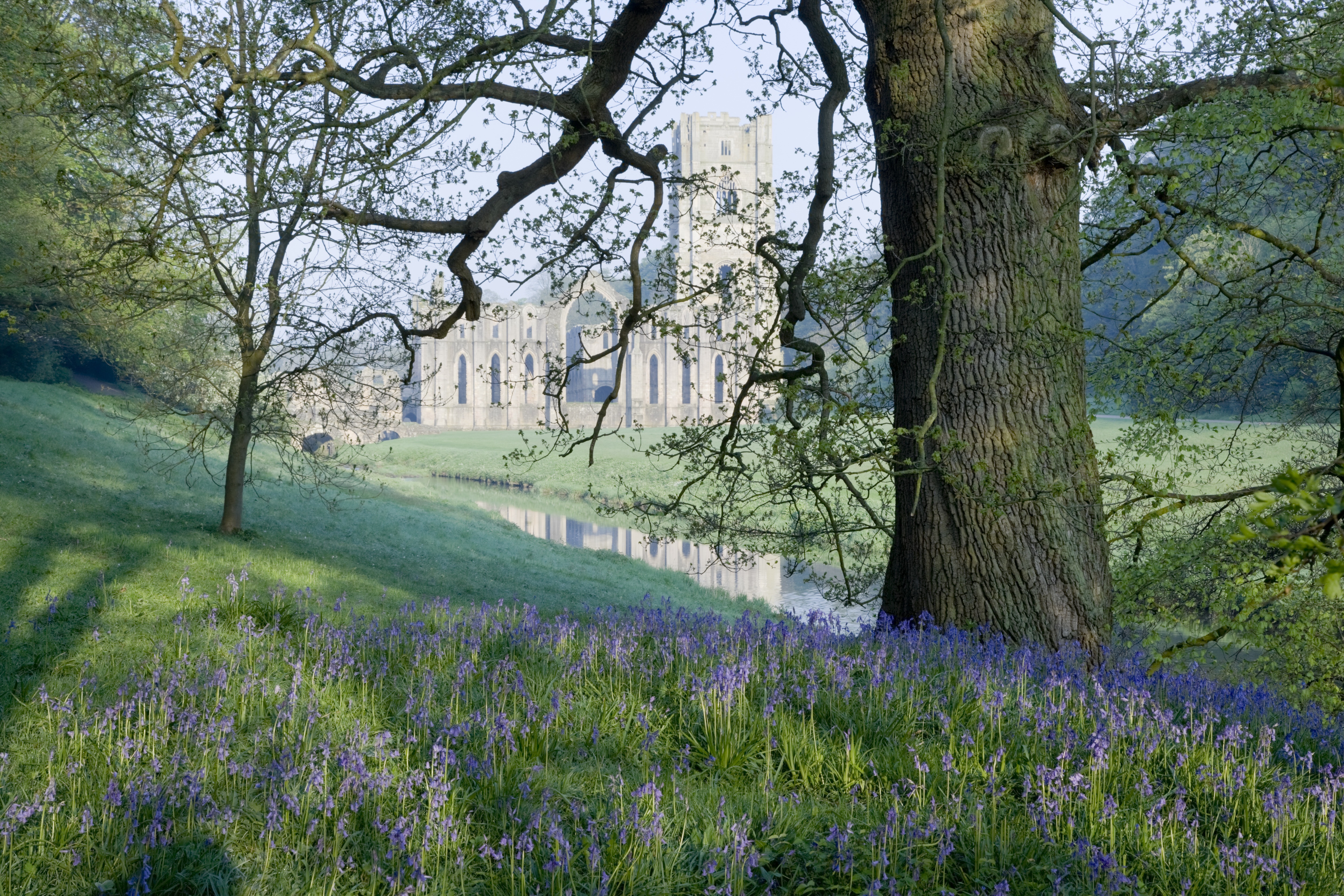 Fountains Abbey (c) NTPL Andrew Butler