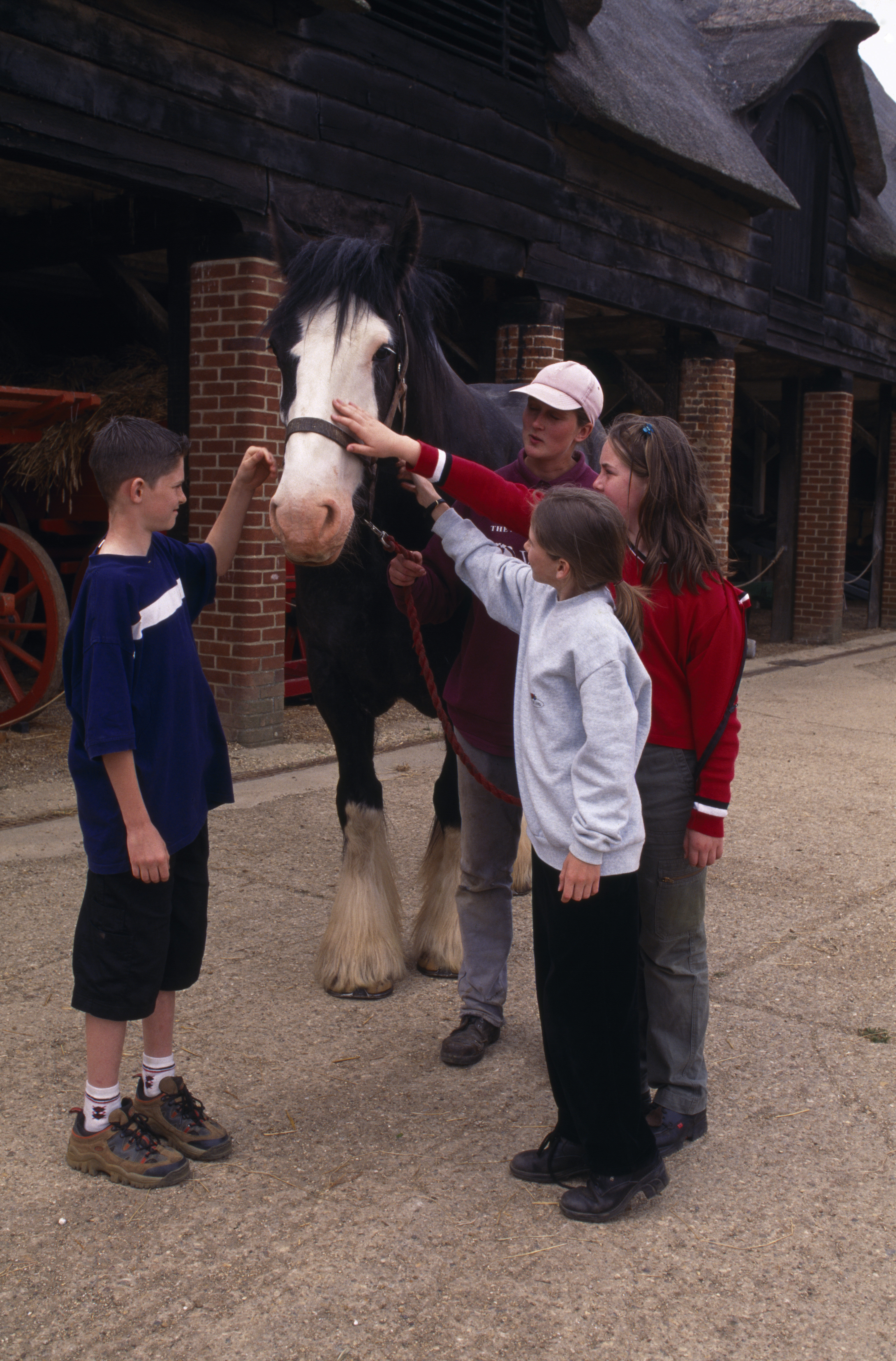 Wimpole