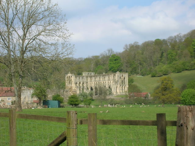 Rievaulx Abbey