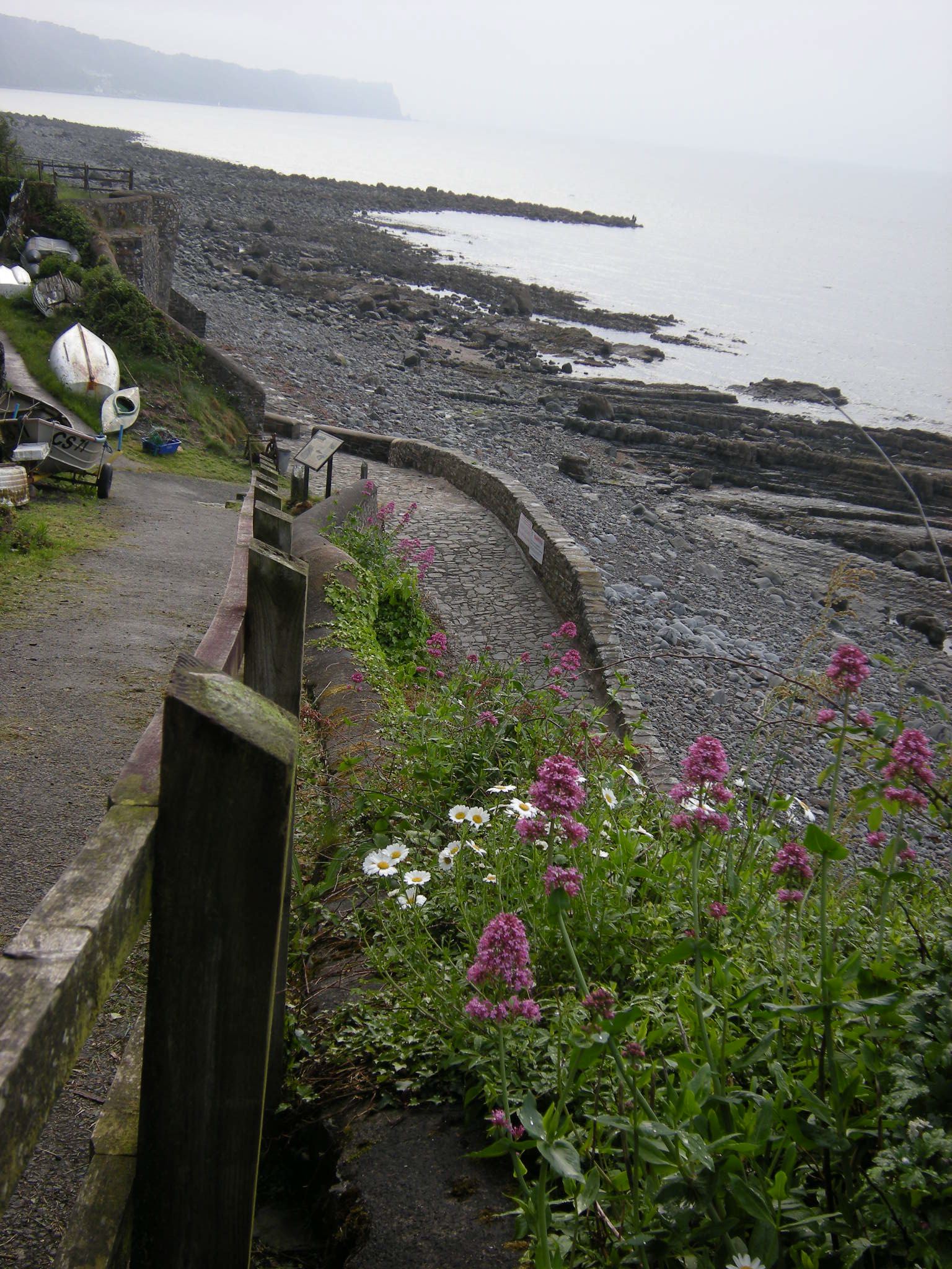20080619_1