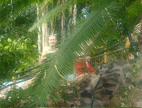 center-parcs