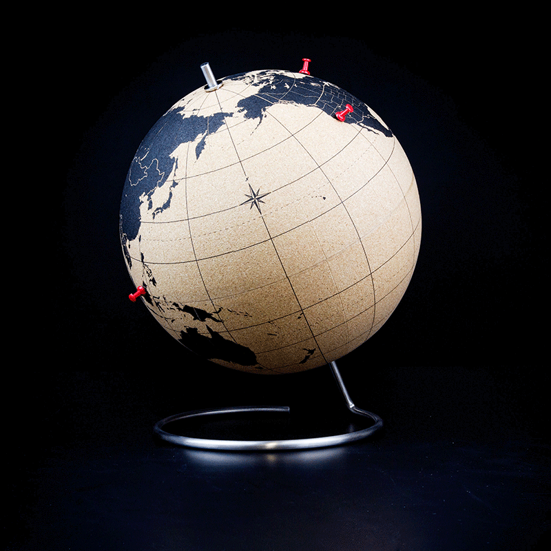Cork Globe from prezzybox