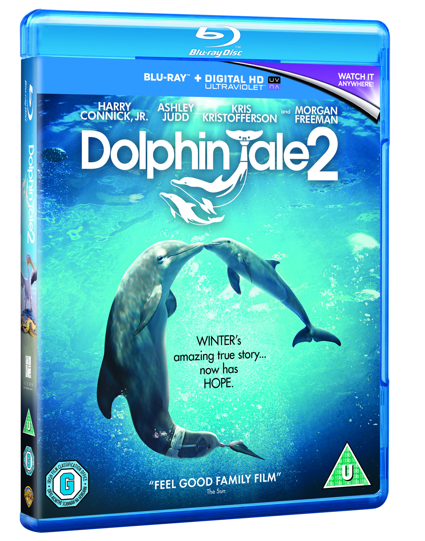 Dolphin Tale 2