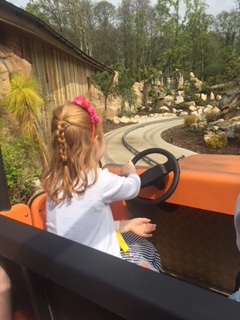 lost-kingdom-paultons-park