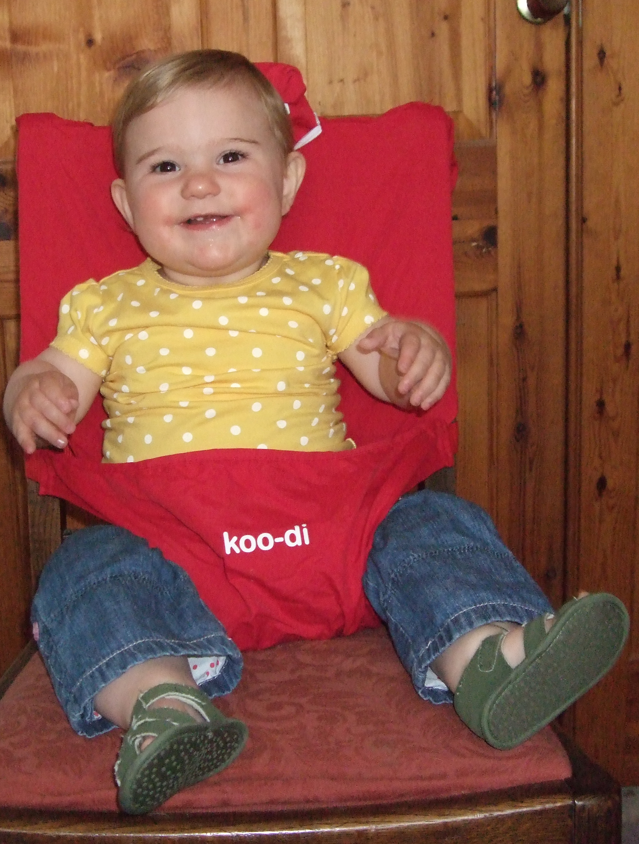 koodi-seatharness