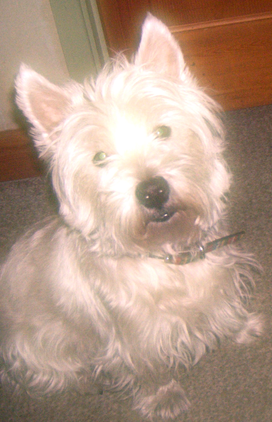 20090408