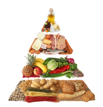 Food pyramid