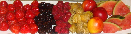 20080905