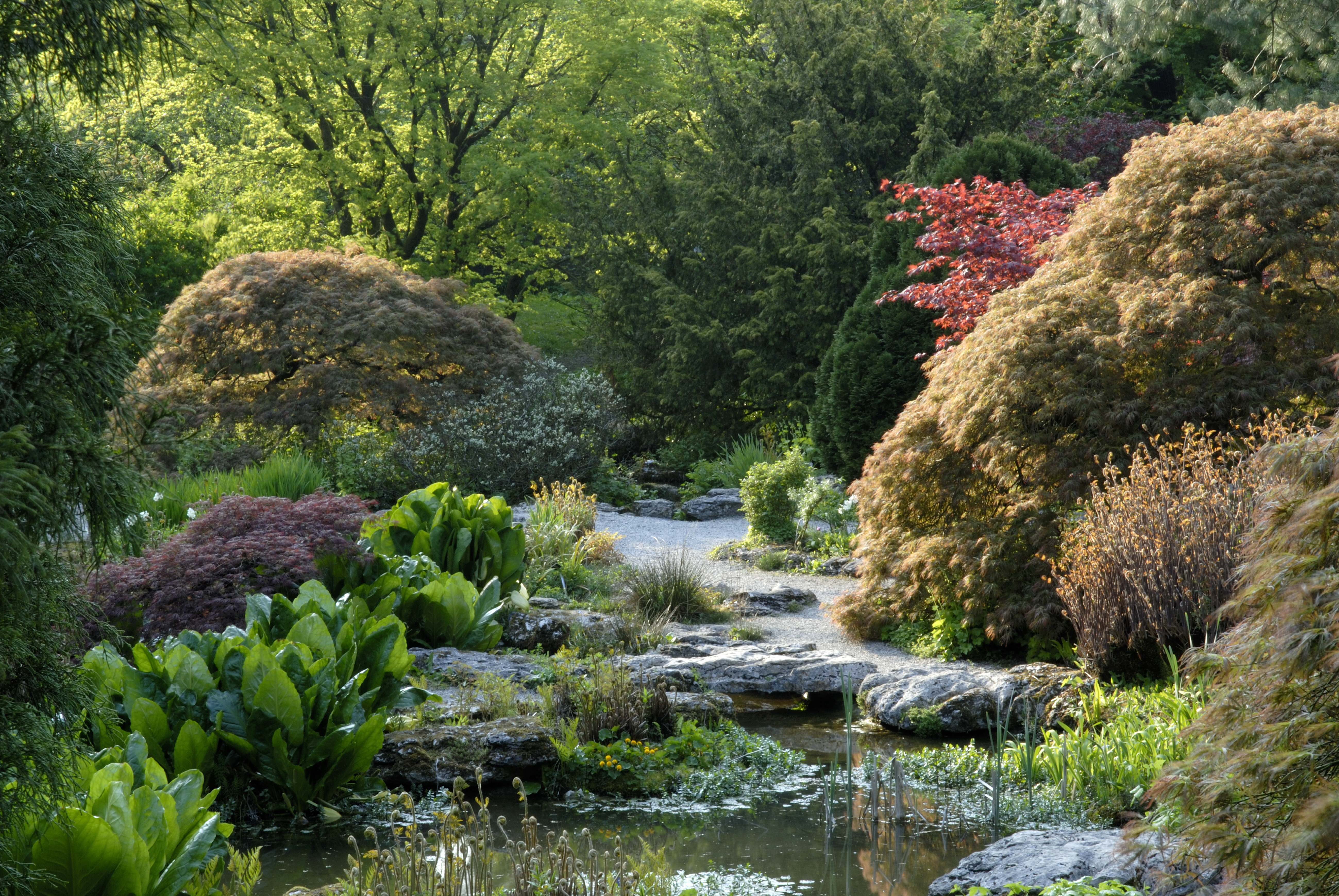 Sizergh Castle gardens