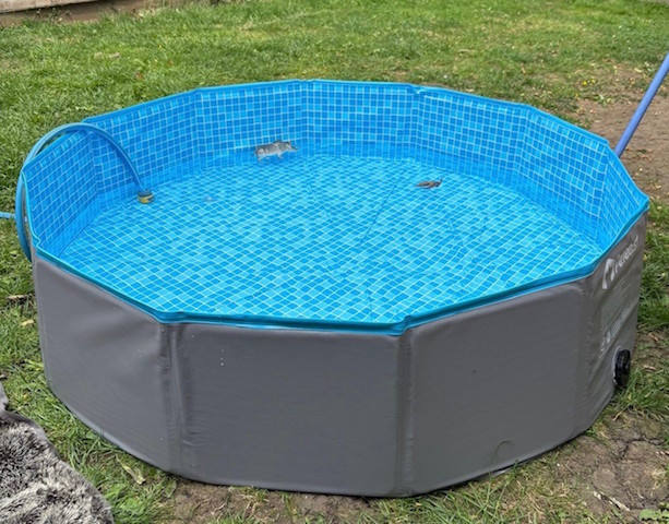 Child, Pet and Garden-friendly Foldable Paddling Pool