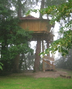 treehouse