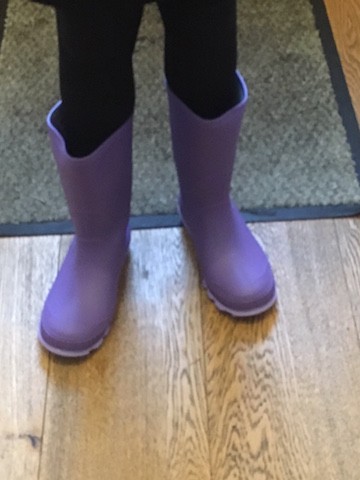 Wellies from Mountain Warehouse