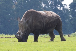 Whipsnade Zoo